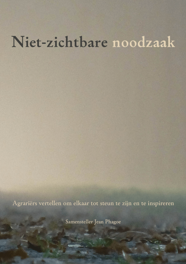 boek Niet-zichtbare noodzaak