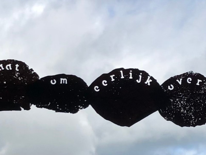 Het licht van gelijkwaardigheid