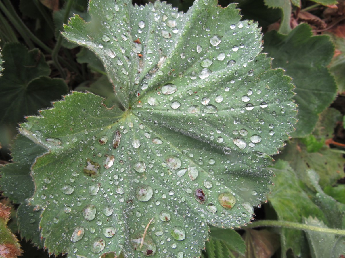 Integer toekomst-perspectief